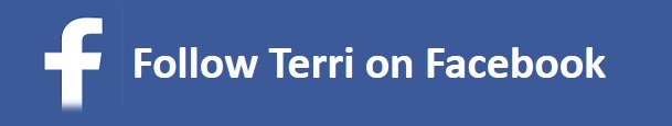 Facebook Website Follow Button 2